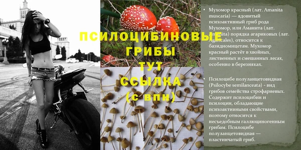 спиды Семилуки